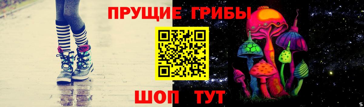 Псилоцибиновые грибы Cubensis Дедовск